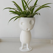 3D technology printing decorative ornaments, very creative and interesting succulent planting pots, creative succulent planting